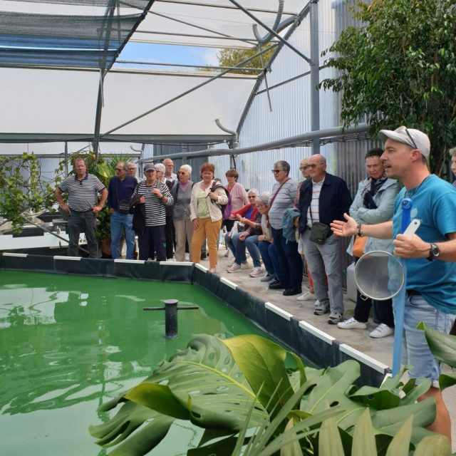 Visite de la Ferme des Roseaux