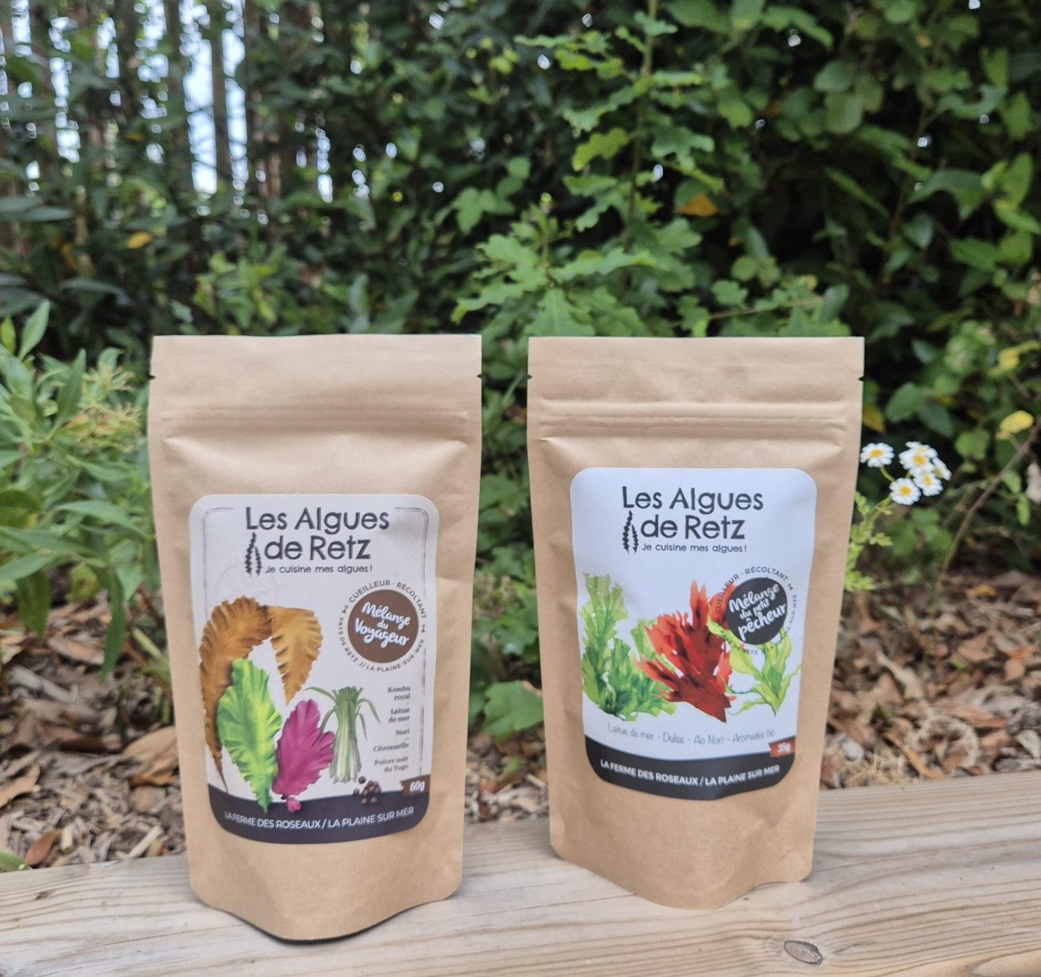 Duo algues marines Pays de Retz Côte de JADE