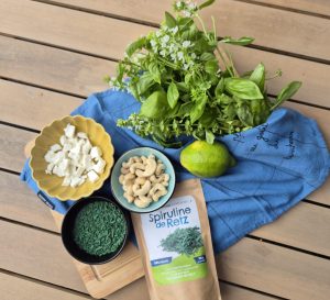 recette pesto à la spiruline